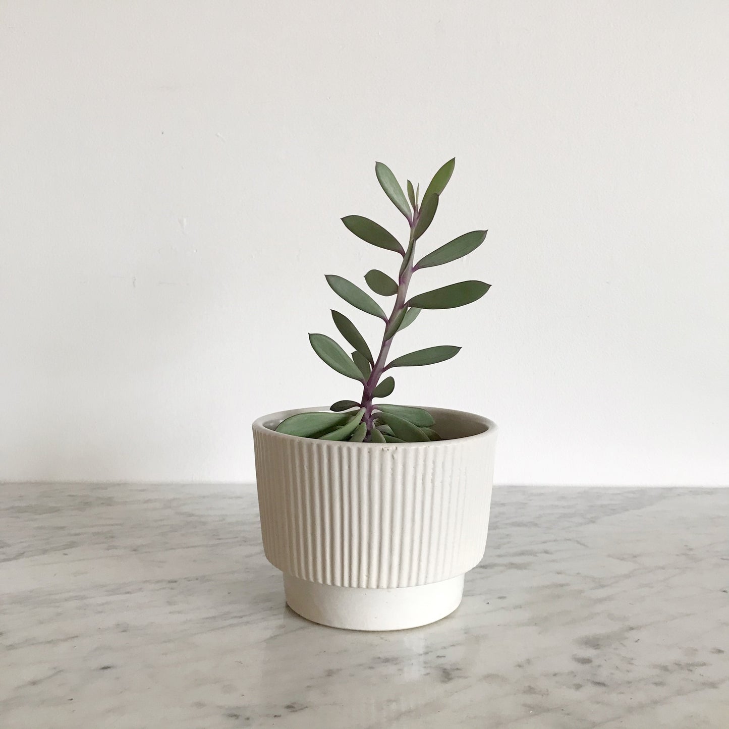 Vintage Reeded Ceramic Planter, 4"