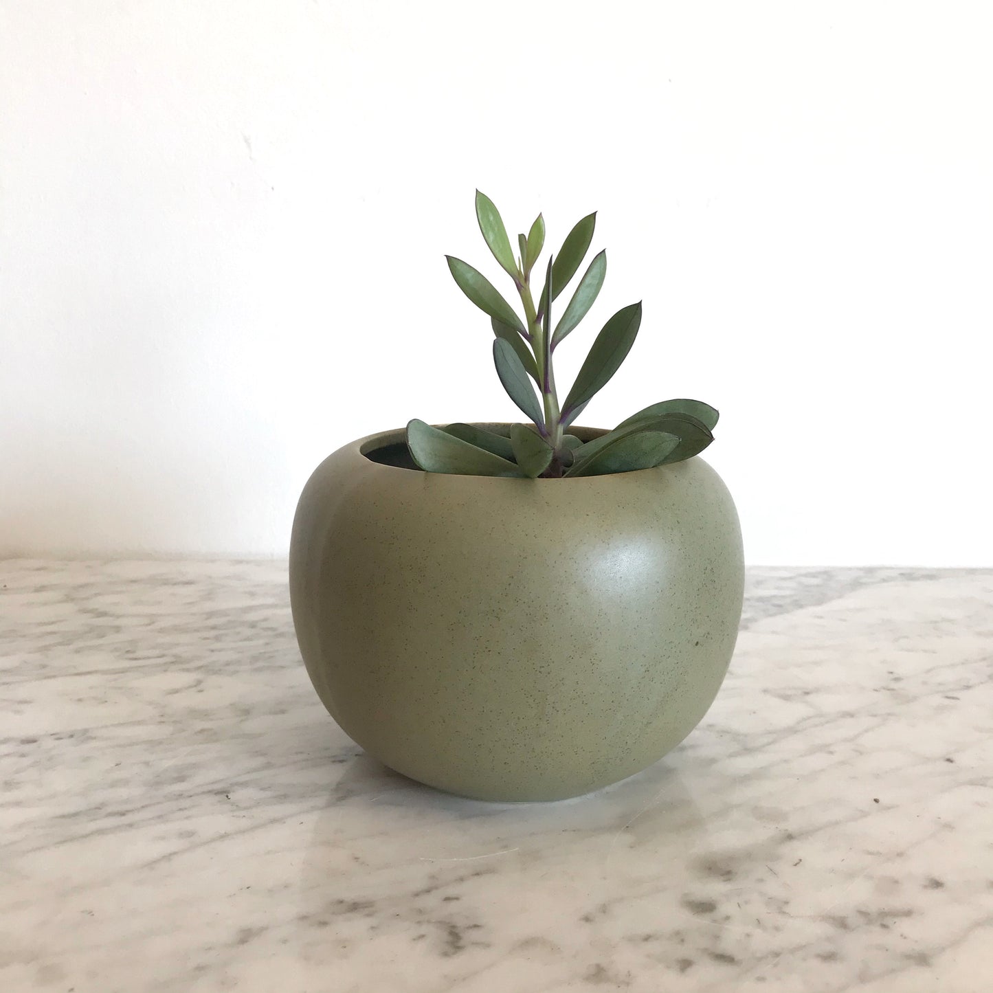 Vintage Sphere Ceramic Planter, Sage Green