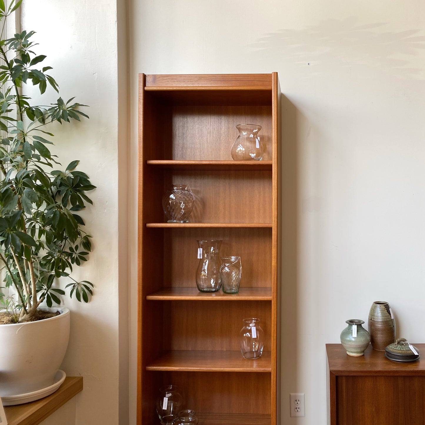 Vintage Danish Teak Bookcase