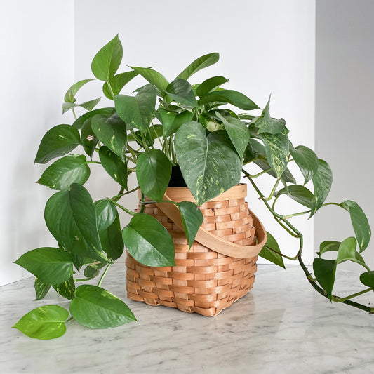 Vintage Woven Wood Basket with Handle