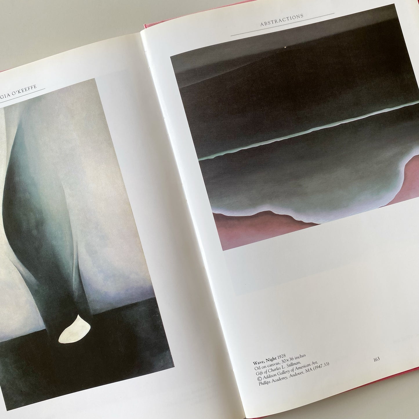 Book: Georgia O’Keeffe, by Maria Costantino