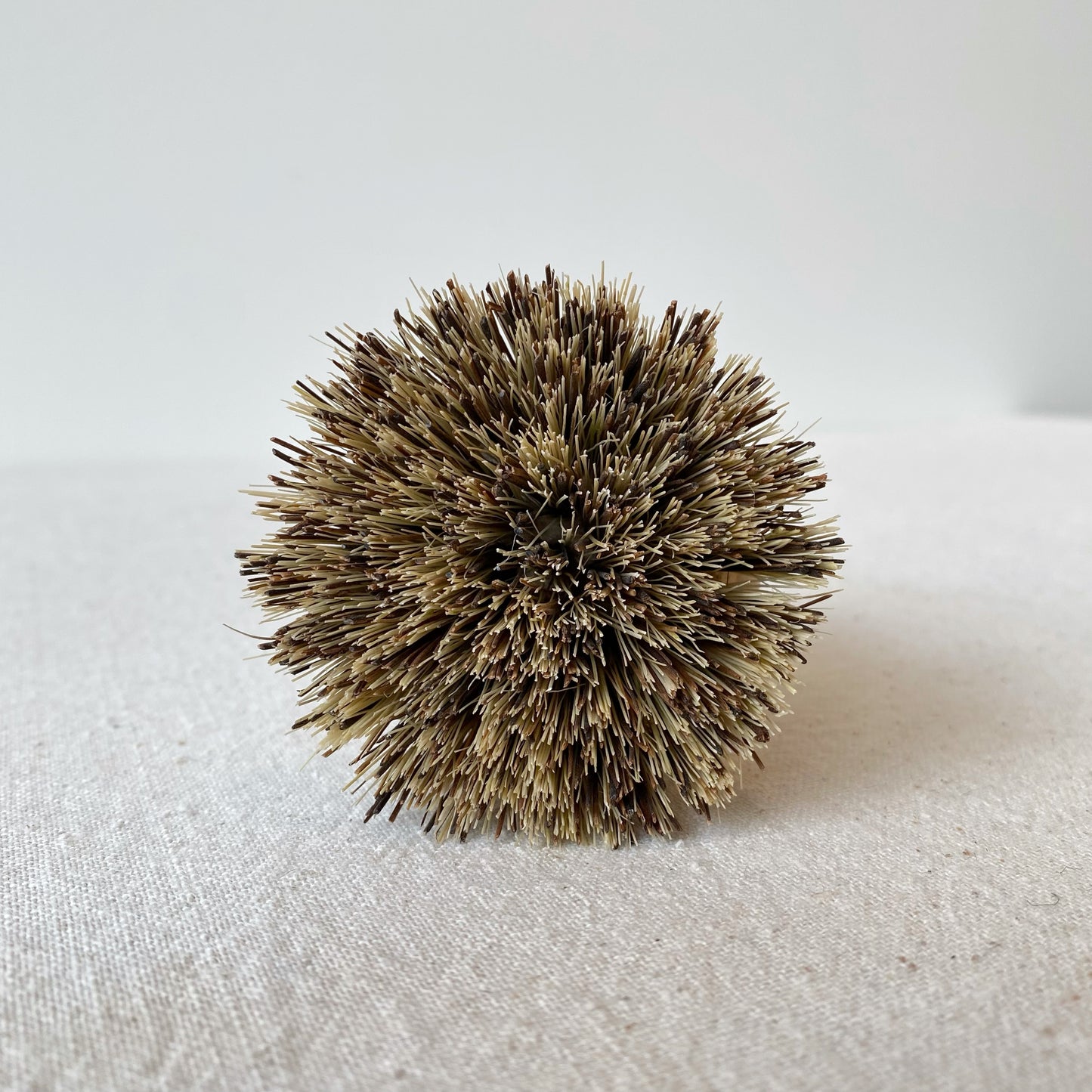 Large Natural Pot Scrub Brush