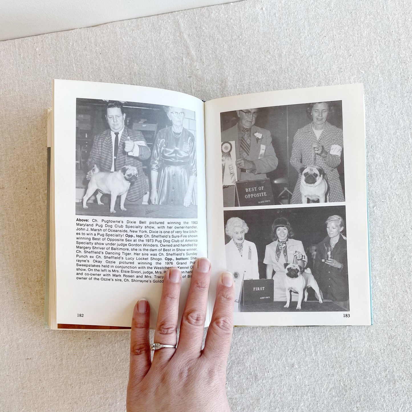 Book: The Book of Pugs