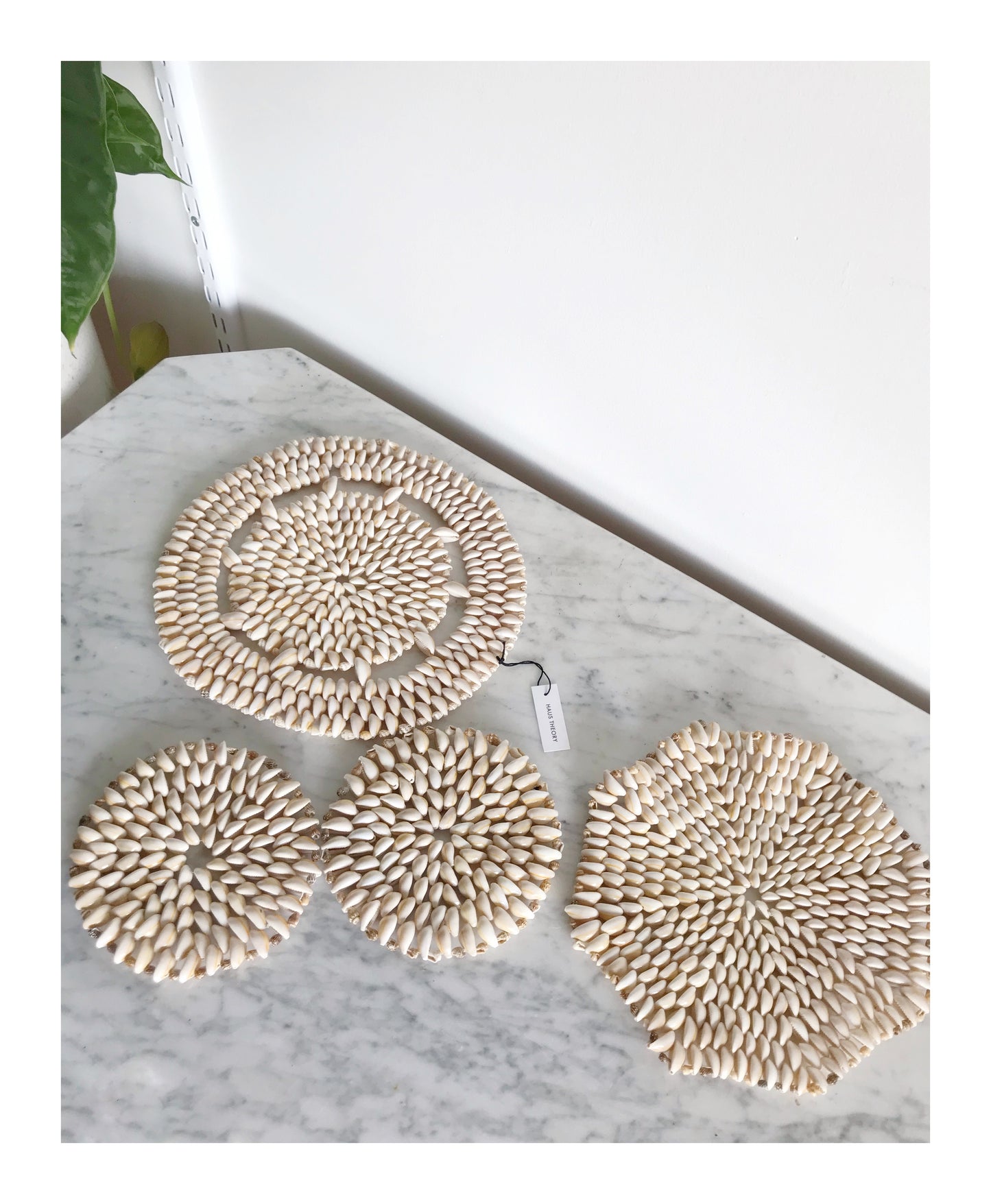 Collection of Vintage Shell Trivets