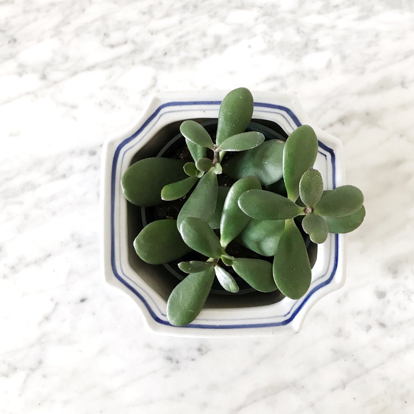 Vintage Ceramic Planter, Blue + White Floral