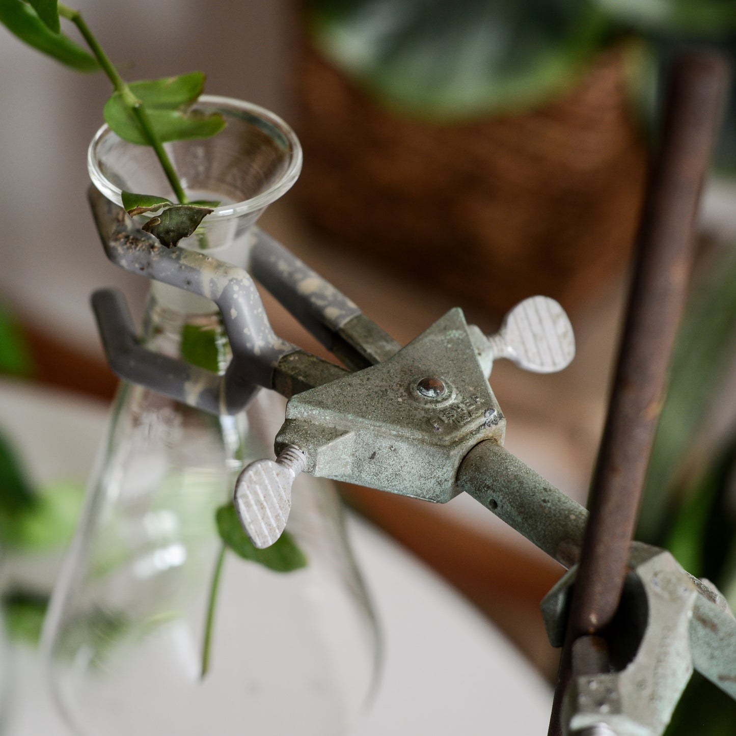 Vintage Industrial Science Beaker + Stand