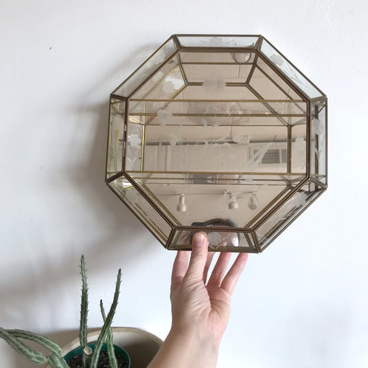 XL Vintage Glass Wall Display Shelf / Case