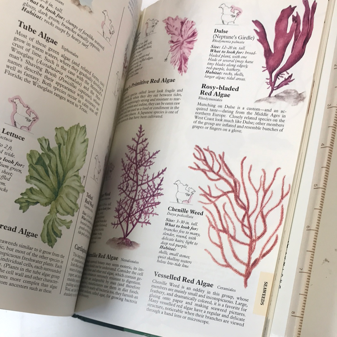 Book: Reader’s Digest North American Wildlife