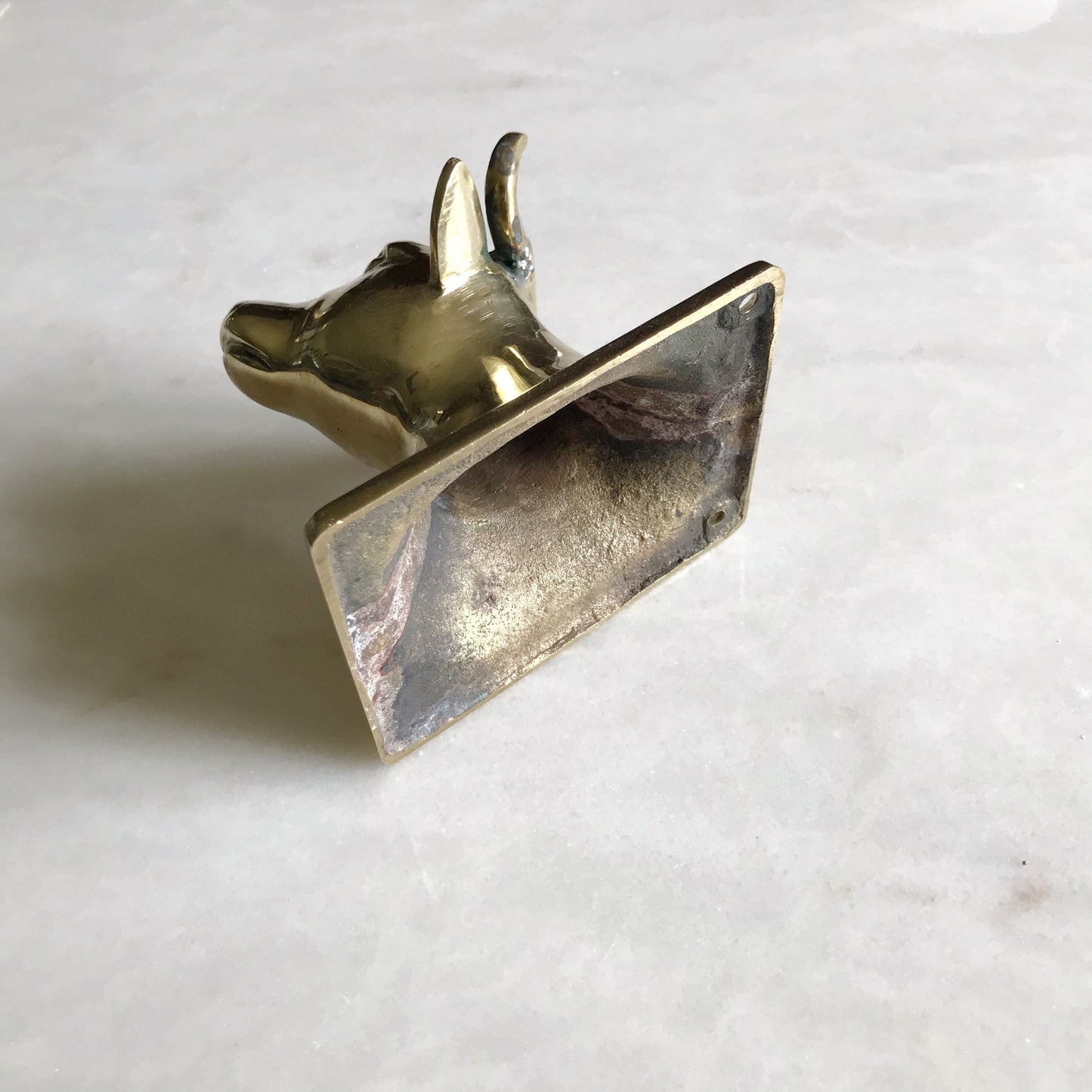 XL Vintage Brass Bull Wall Hook