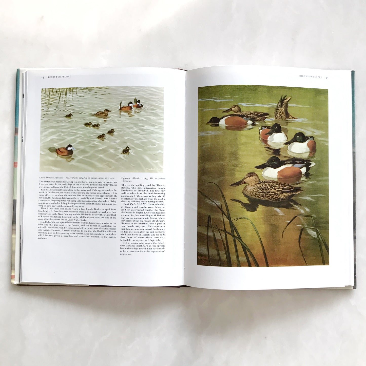 Book: Peter Scott: Observations of Wildlife