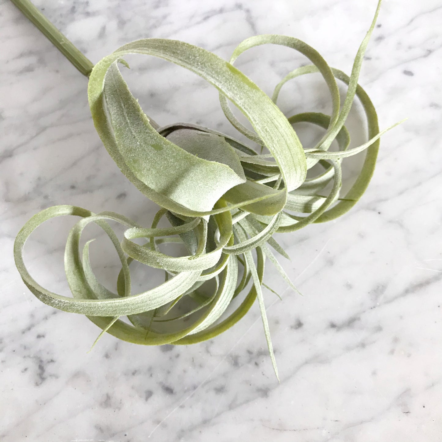 Faux 8" Tillabdsia Air Plant