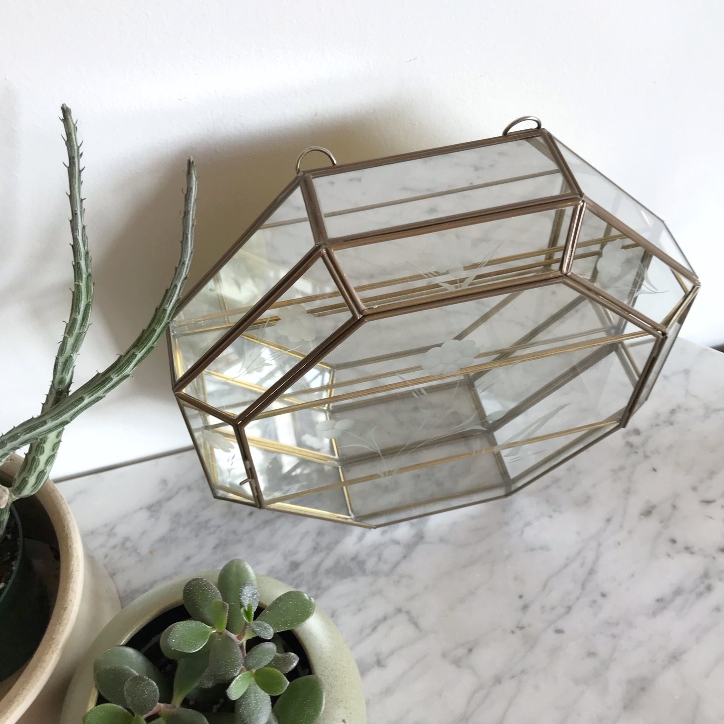 XL Vintage Glass Wall Display Shelf / Case
