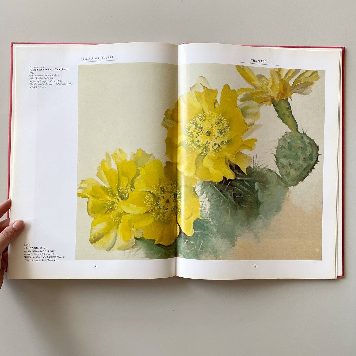Book: Georgia O’Keeffe, by Maria Costantino