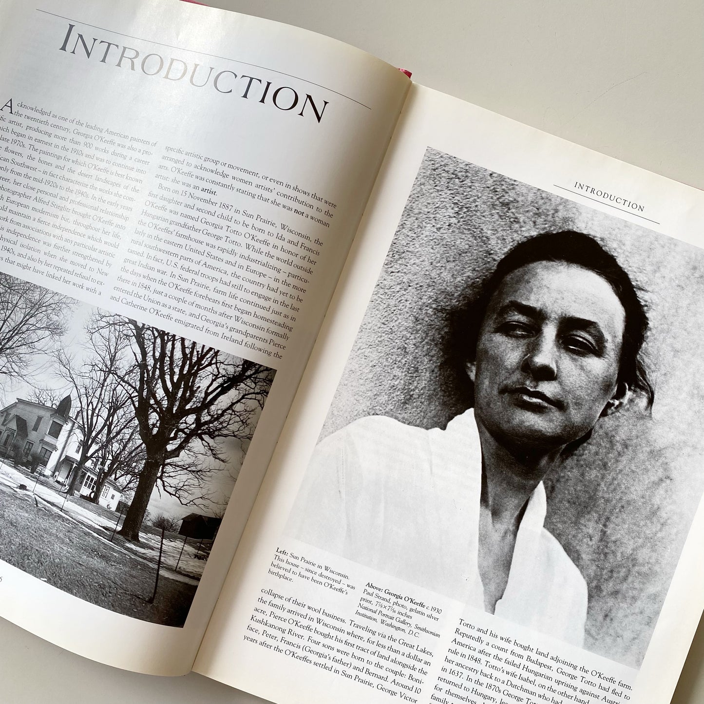 Book: Georgia O’Keeffe, by Maria Costantino