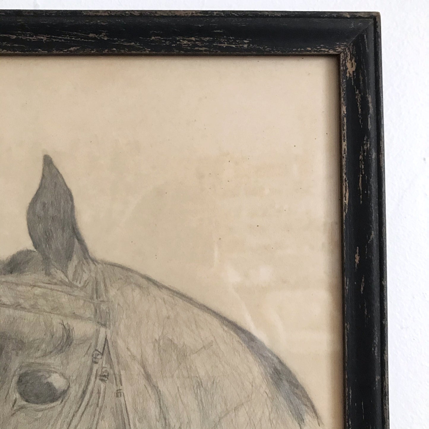 Vintage Original Pencil Drawing, Horse Portrait