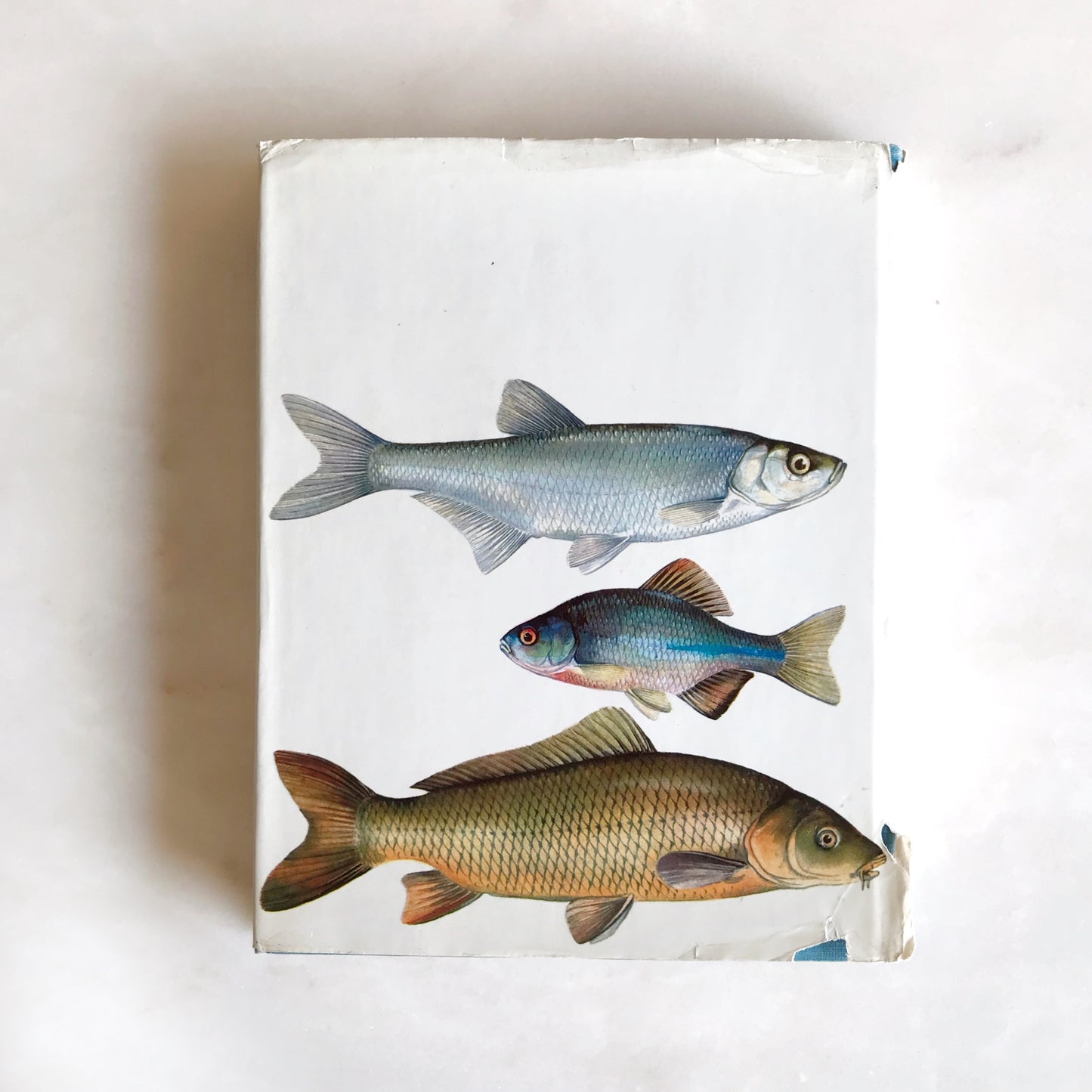 Book: Fresh-Water Fishes