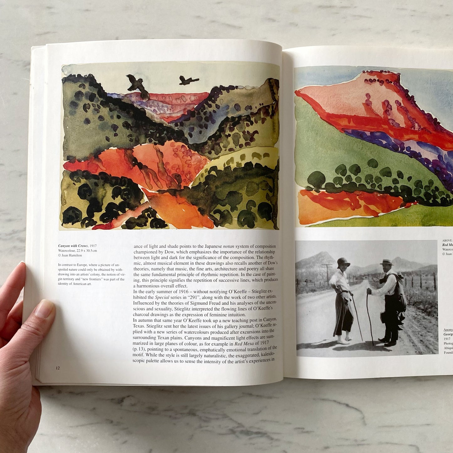 Book: Georgia O'Keeffe: Flowers in the Desert