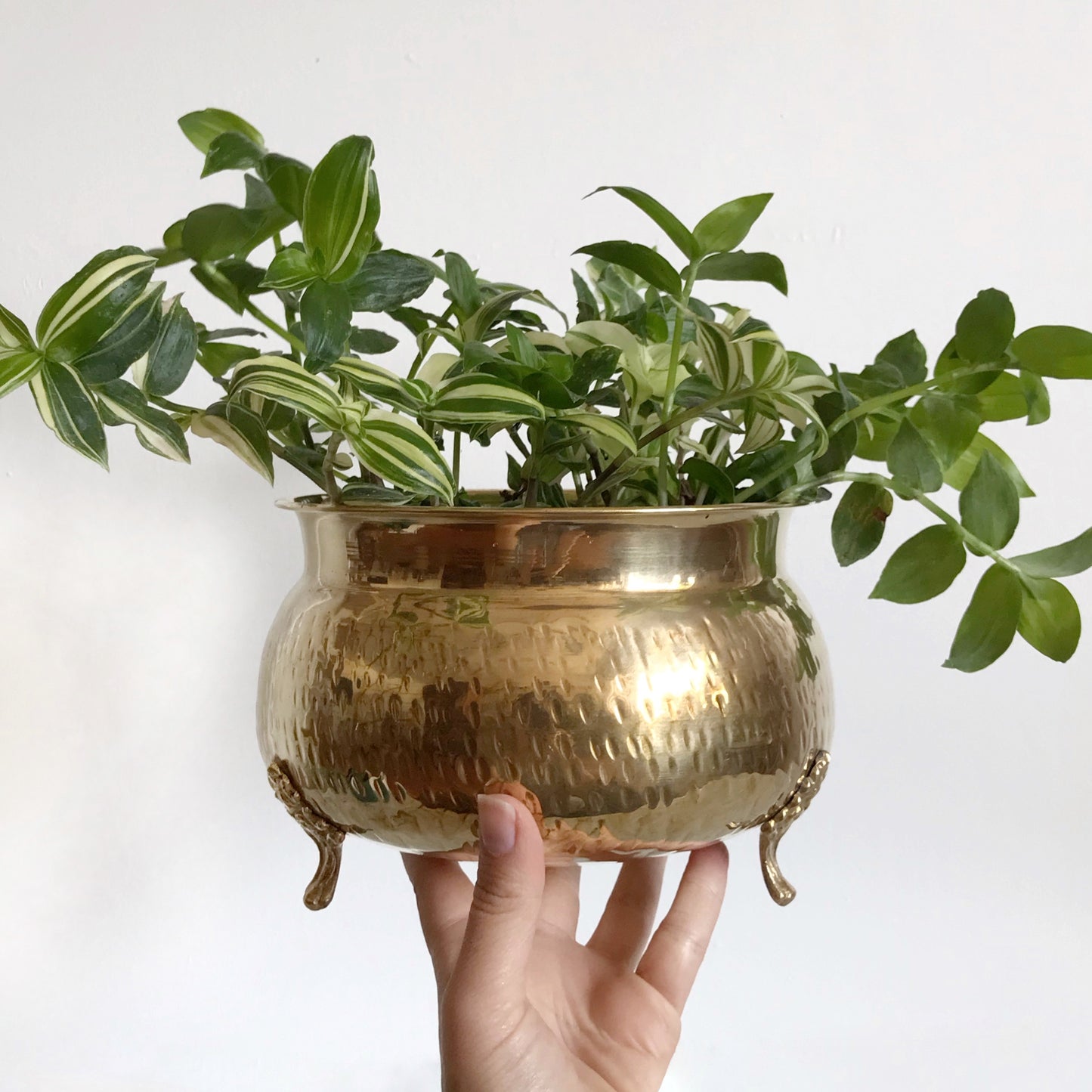 Large Vintage Footed Brass Planter