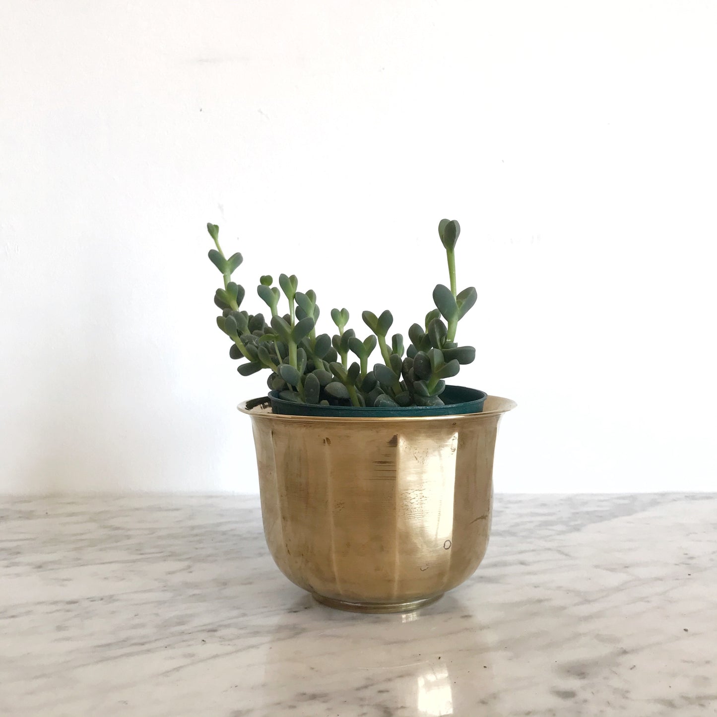 Vintage Brass Planter, 4”