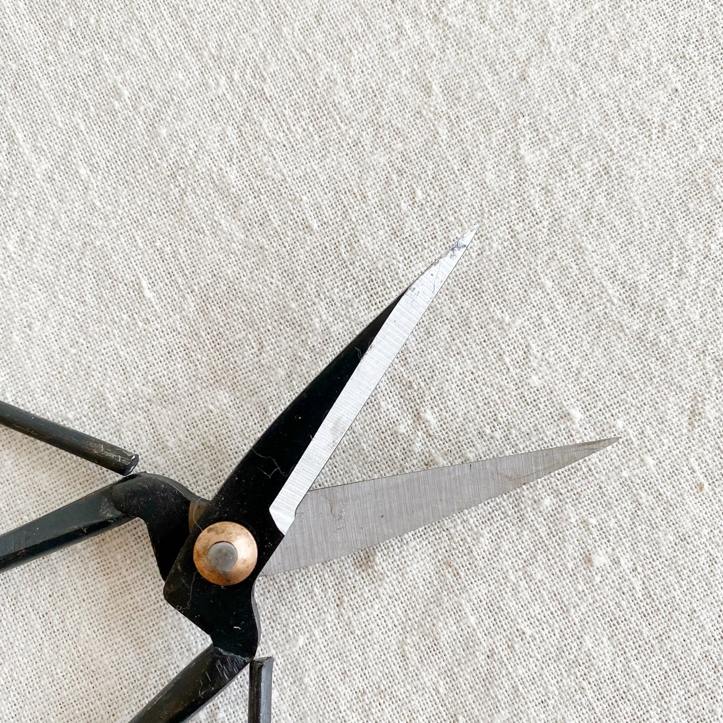 Forged Steel Pruning Shears