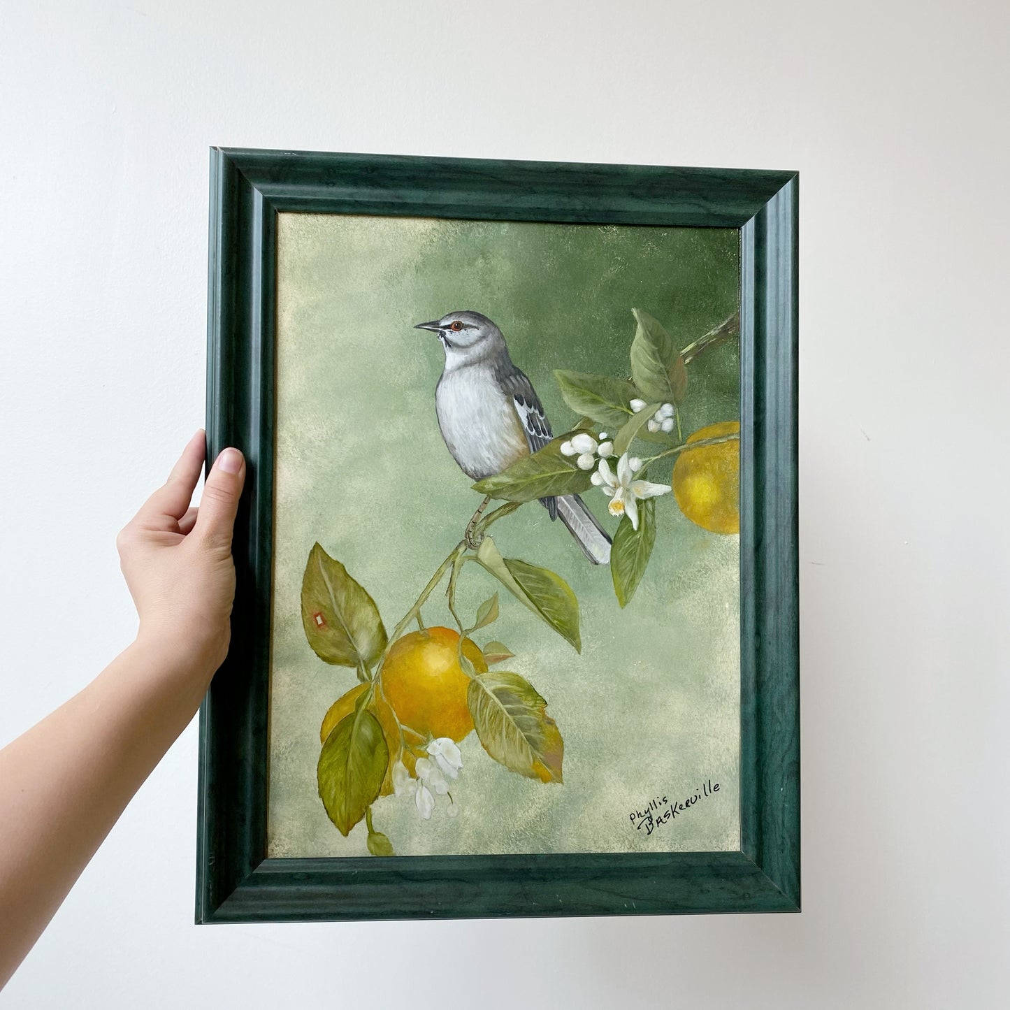Vintage Framed Bird Painting (15” x 19”)