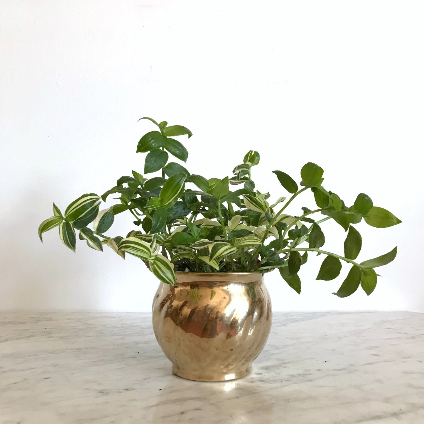 Vintage Brass Planter with Swirled Pattern