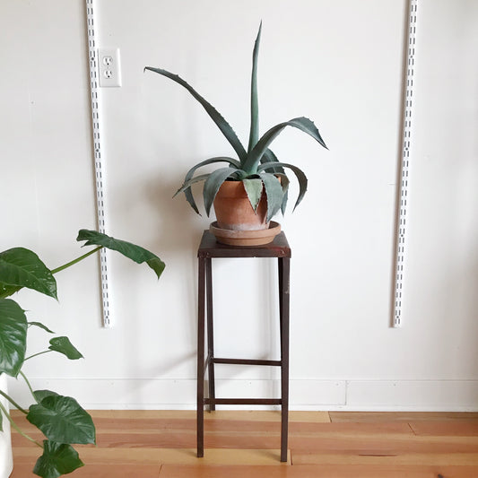 Vintage Minimal Industrial Plant Stand