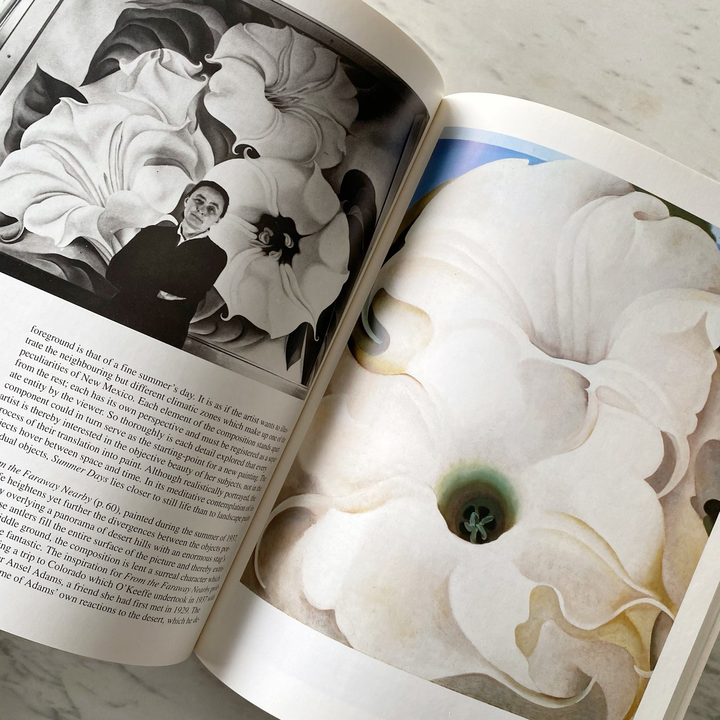 Book: Georgia O'Keeffe: Flowers in the Desert