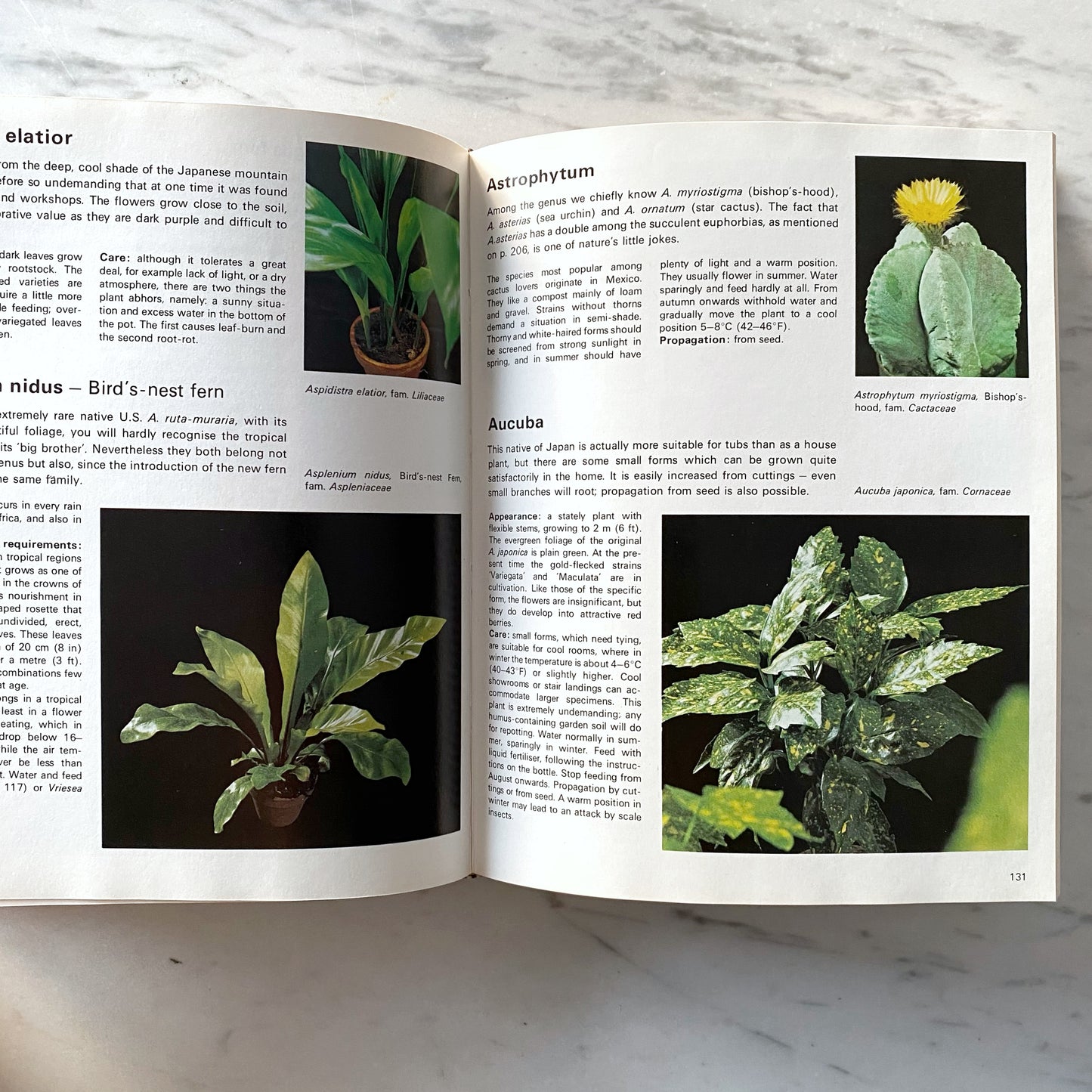 Book:  The Treasury of Houseplants (1974)