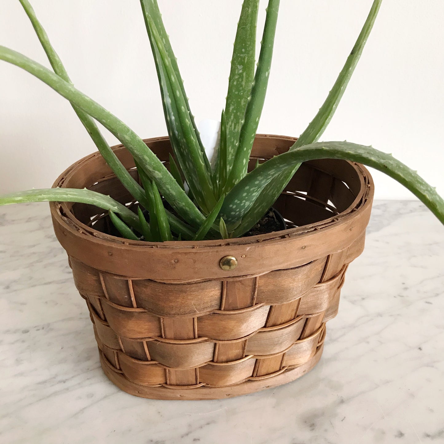 Pretty Woven Wood Basket