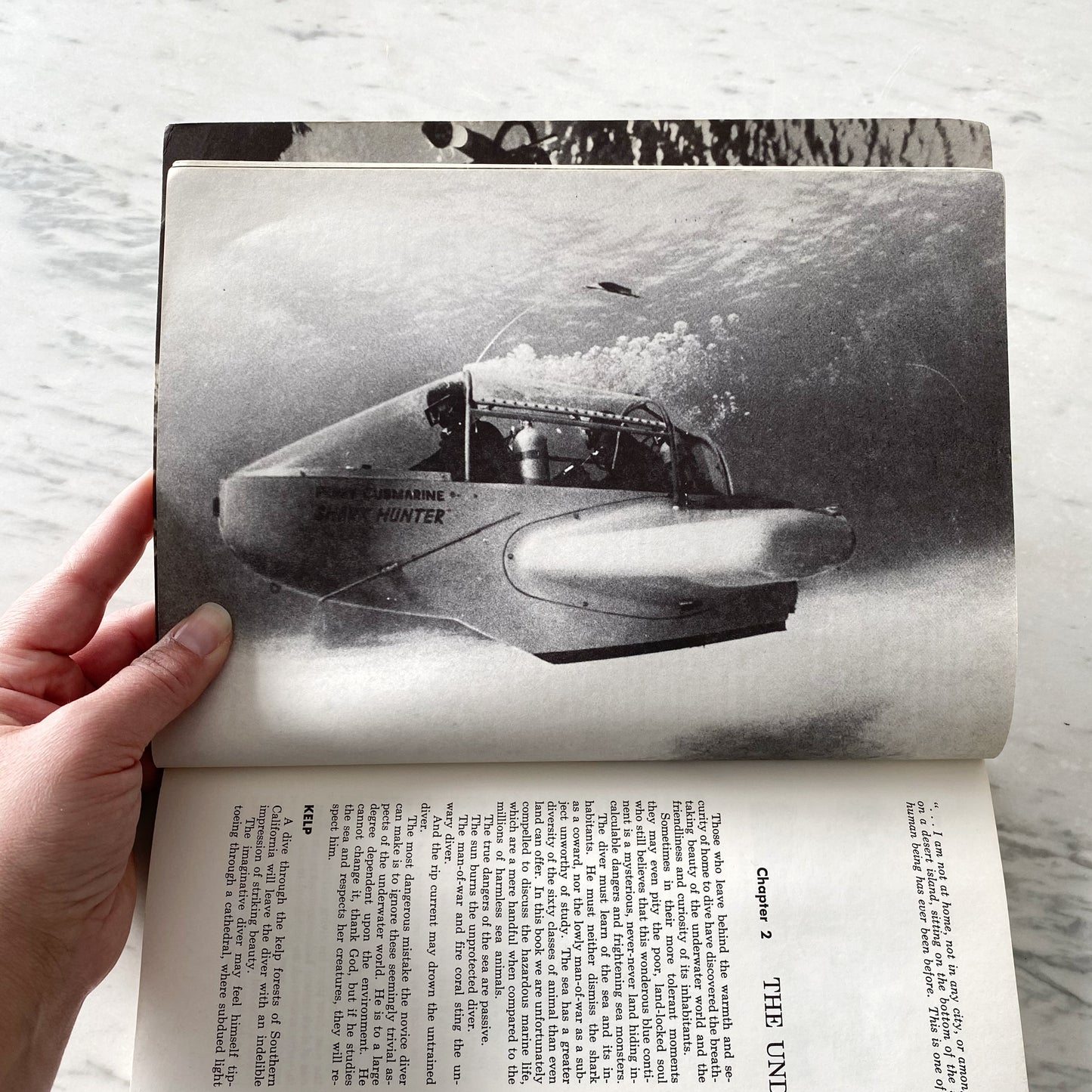 Book: Diving For Fun (1974)