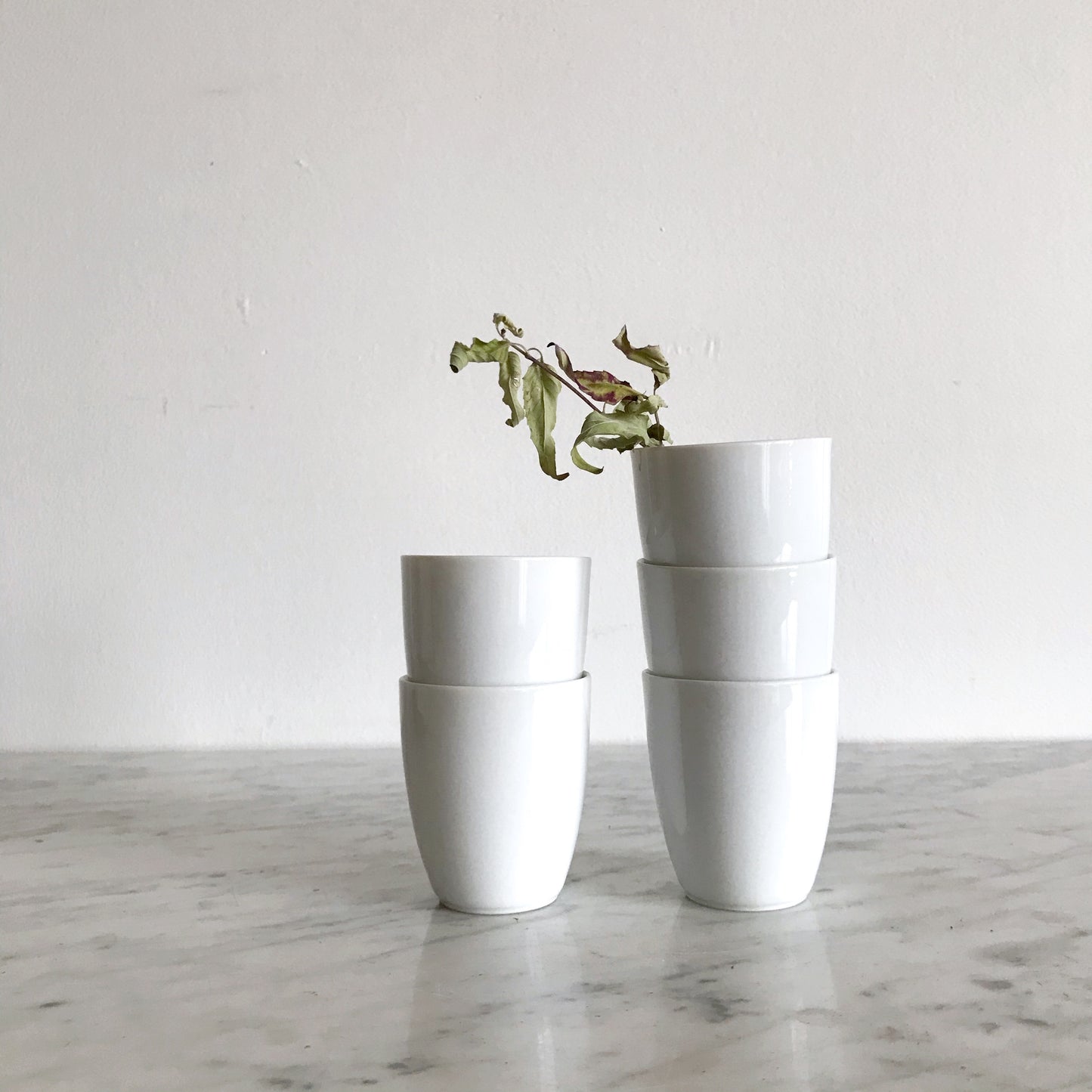Simple Porcelain Espresso Cups, Set of 5