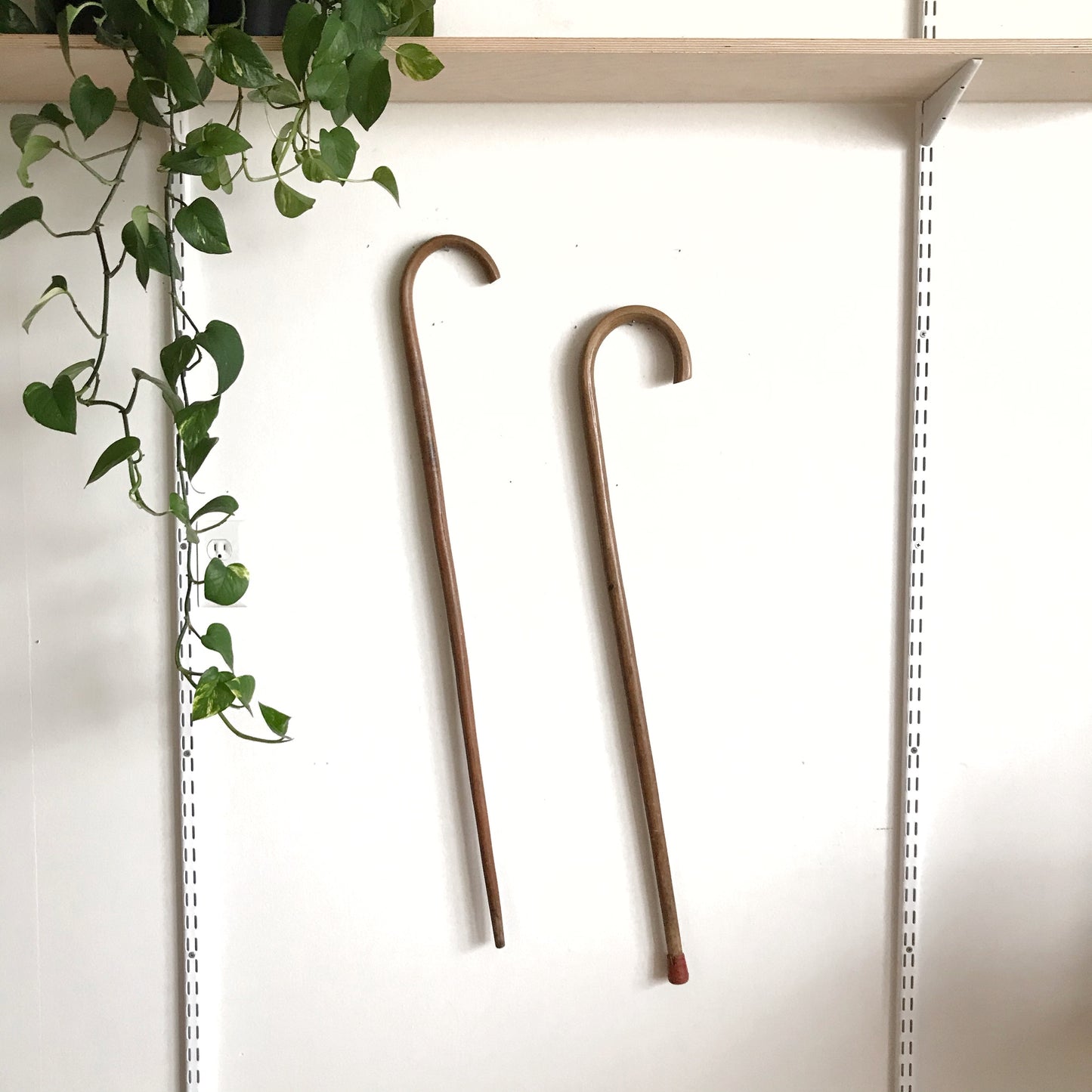 Vintage Bentwood Walking Cane