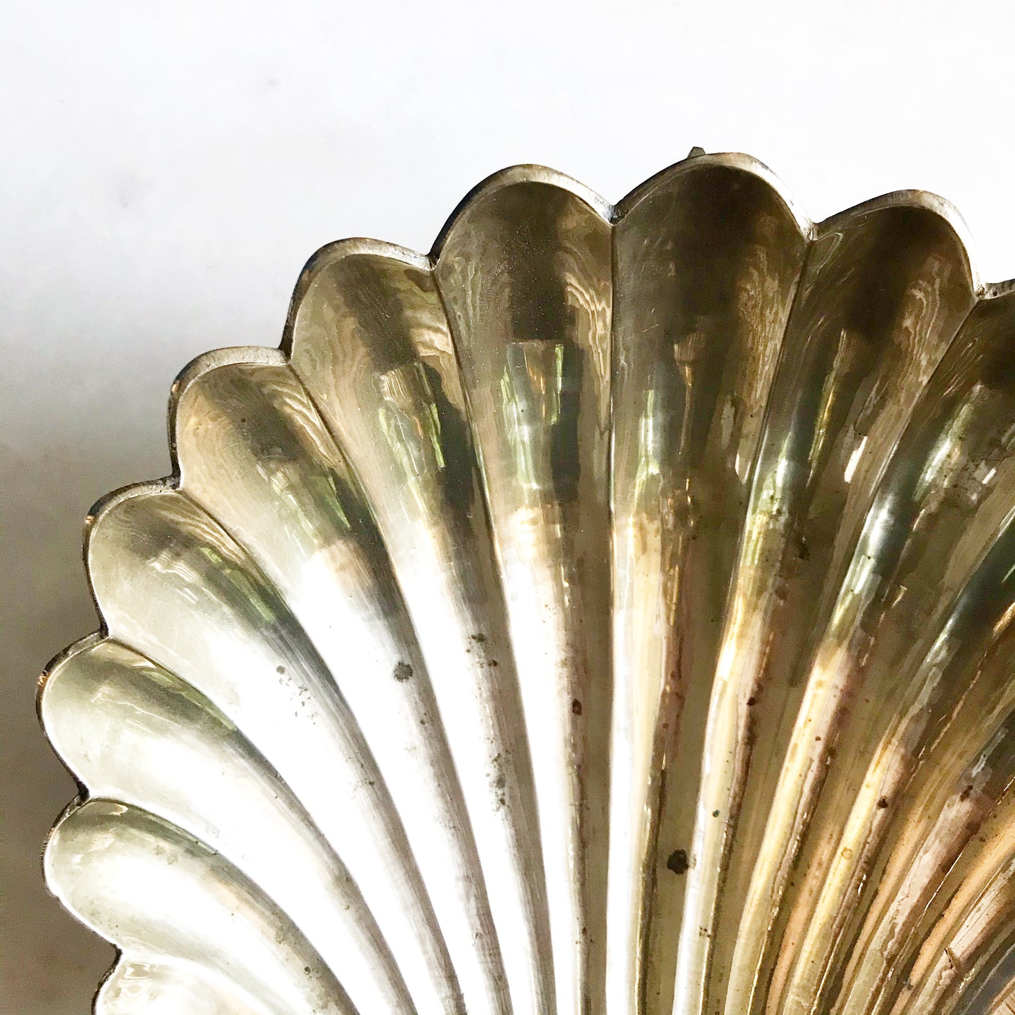 Vintage Solid Brass Seashell Candle Sconce