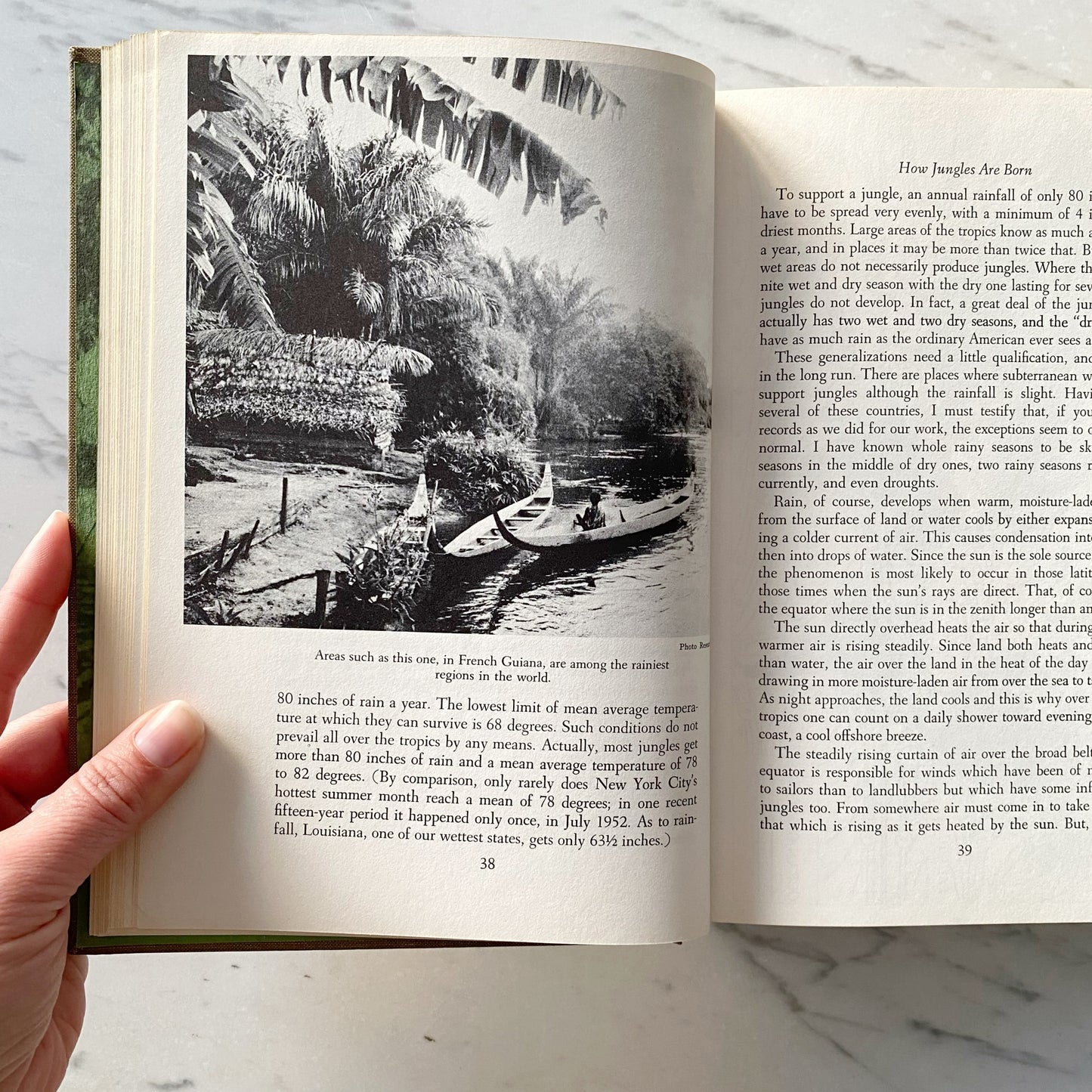 Book: Book of Great Jungles (1965)