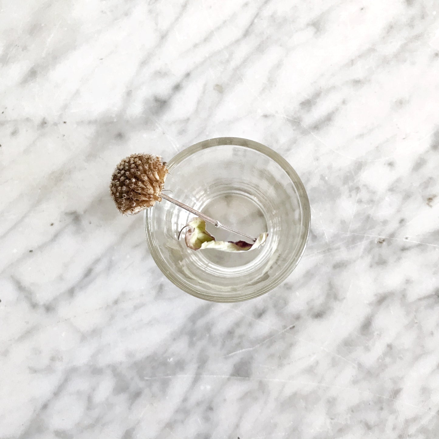 Clear Ribbed-Glass Shot Glass
