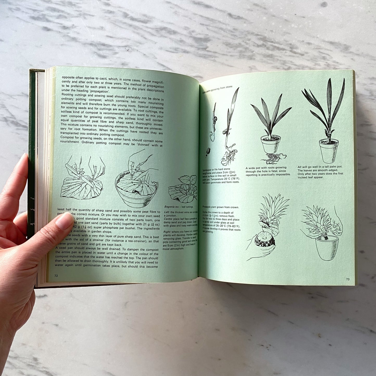 Book:  The Treasury of Houseplants (1974)