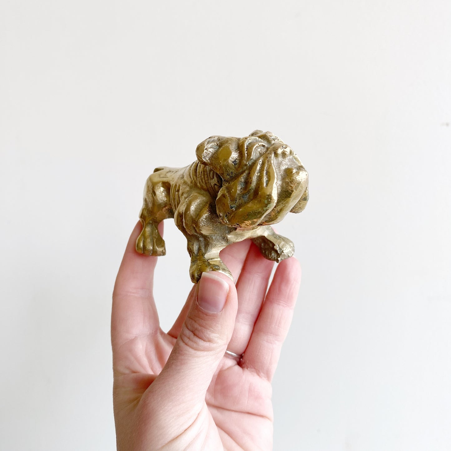 Vintage Brass Bull Dog