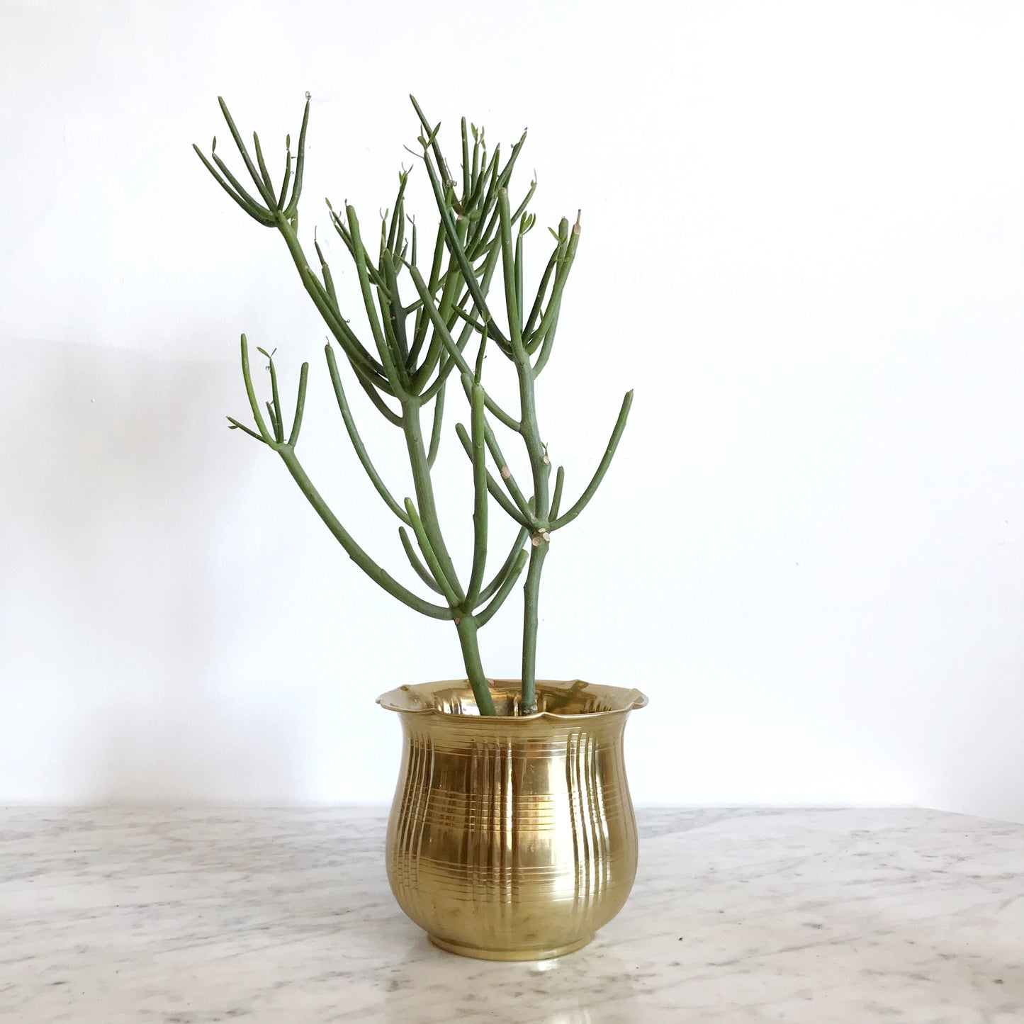 Vintage Brass Planter, Plaid Texture