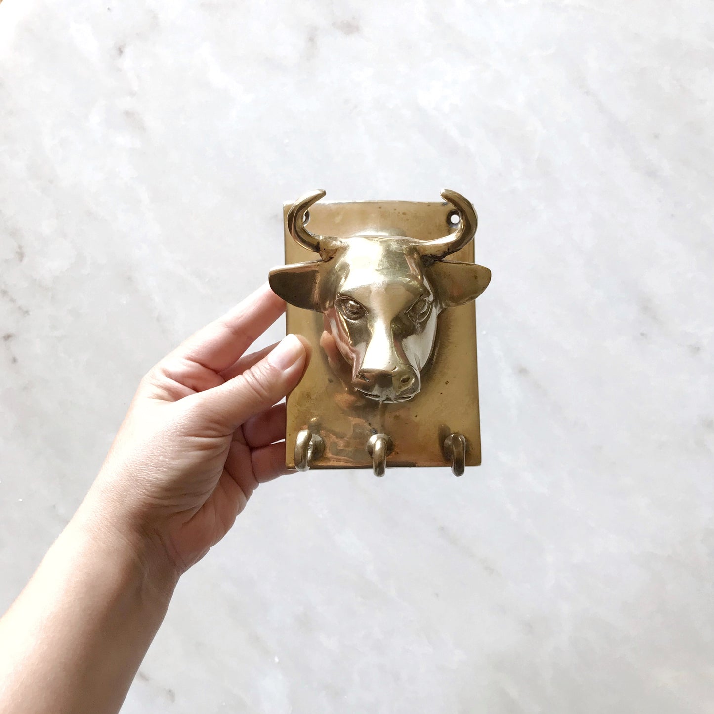 Vintage Brass Bull Wall Piece with Hooks