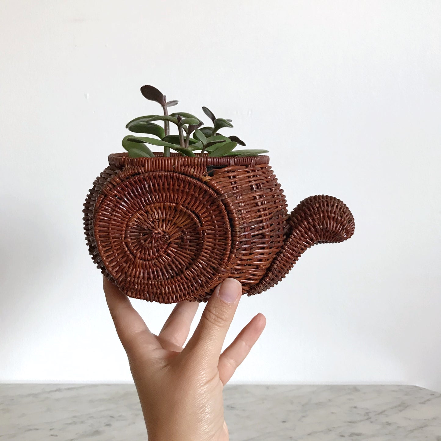 Vintage Wicker Snail Plant Holder