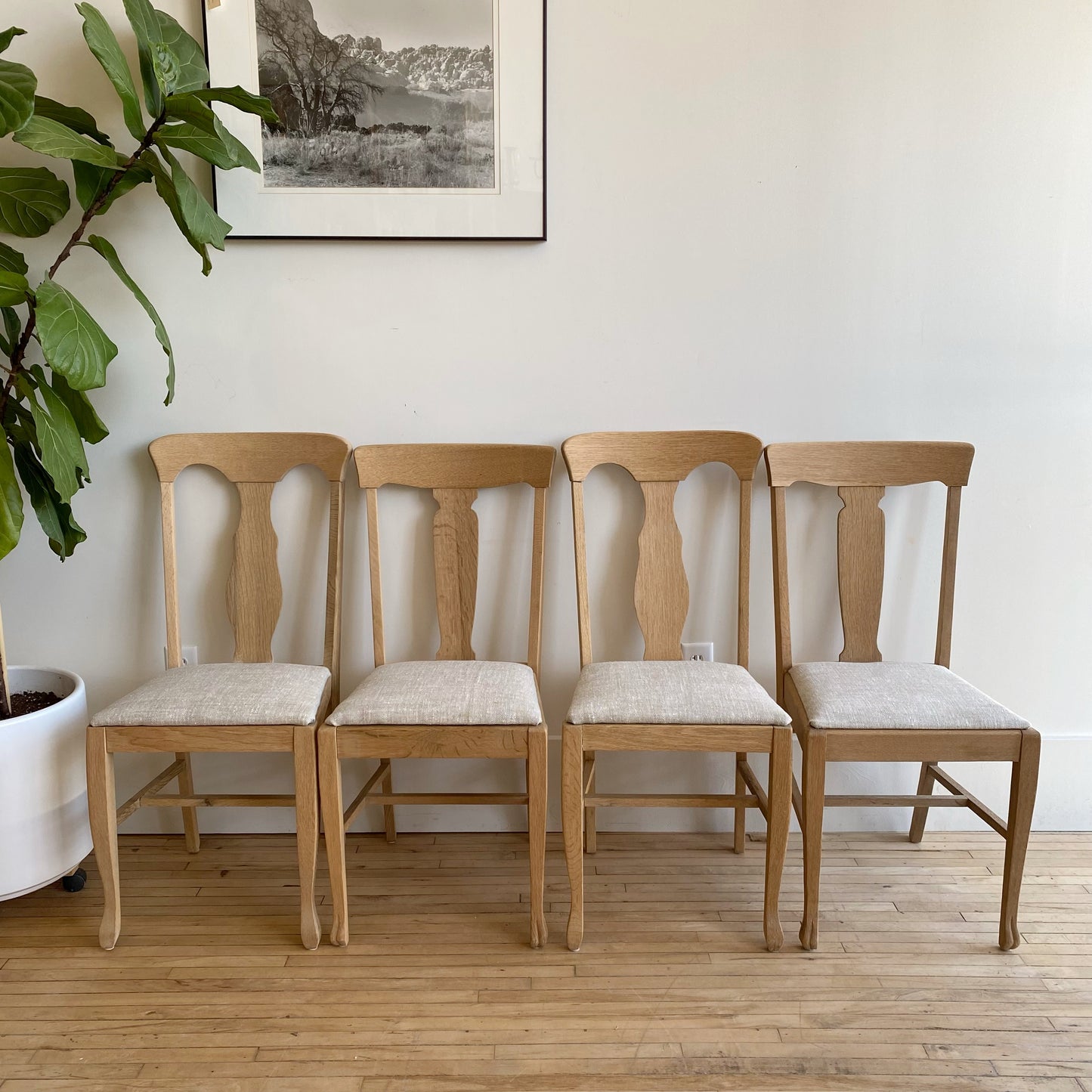 S/4 Antique Oak Dining Chairs