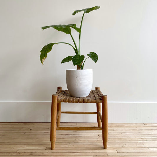 Antique Handcrafted Heirloom Woven Stool