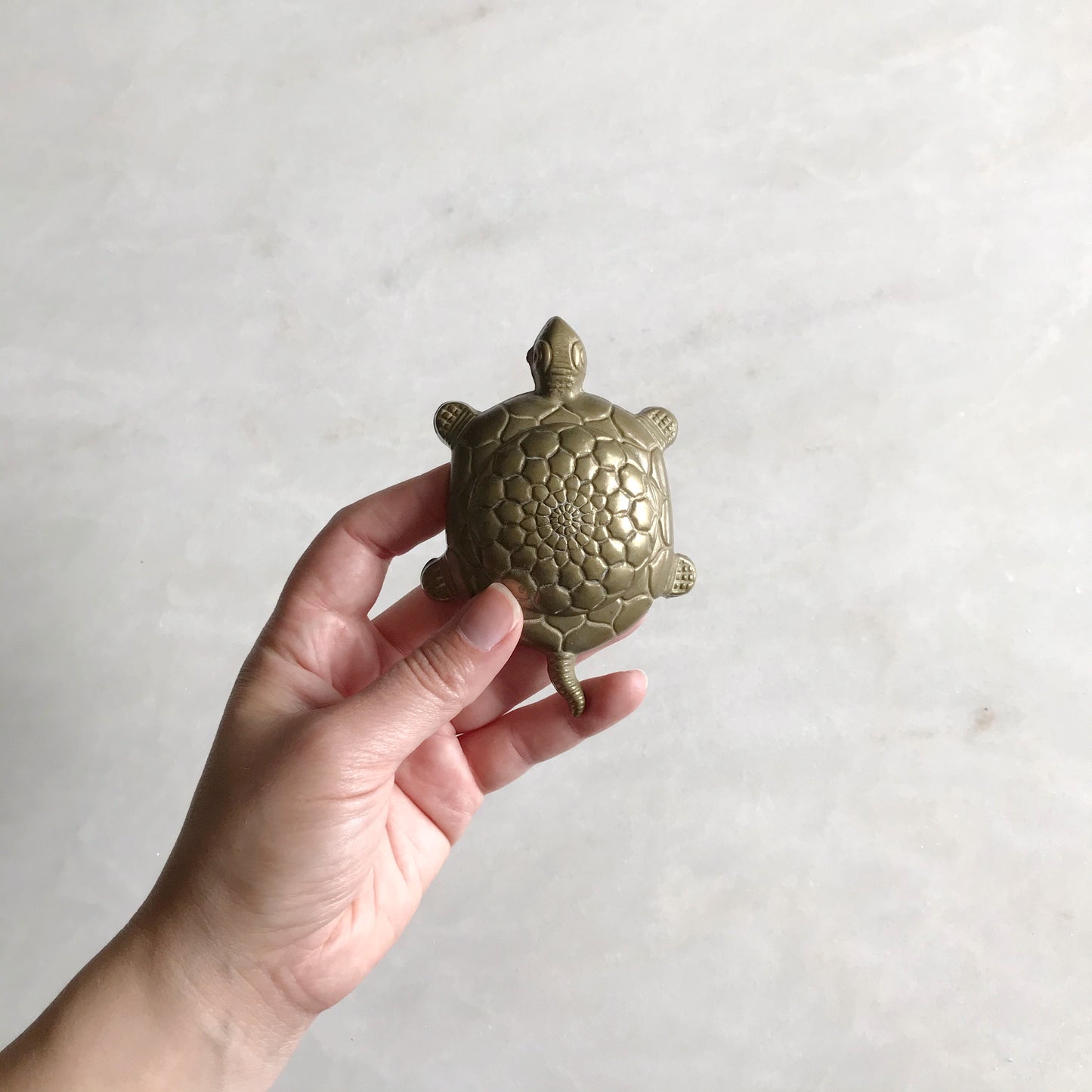 Vintage Brass Turtle Box, Italy