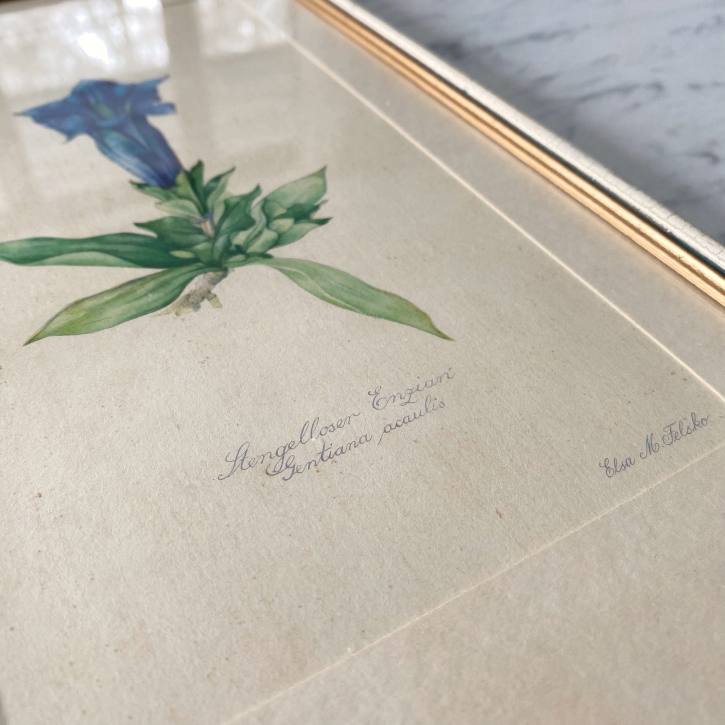 Vintage Framed Mountain Flower Print