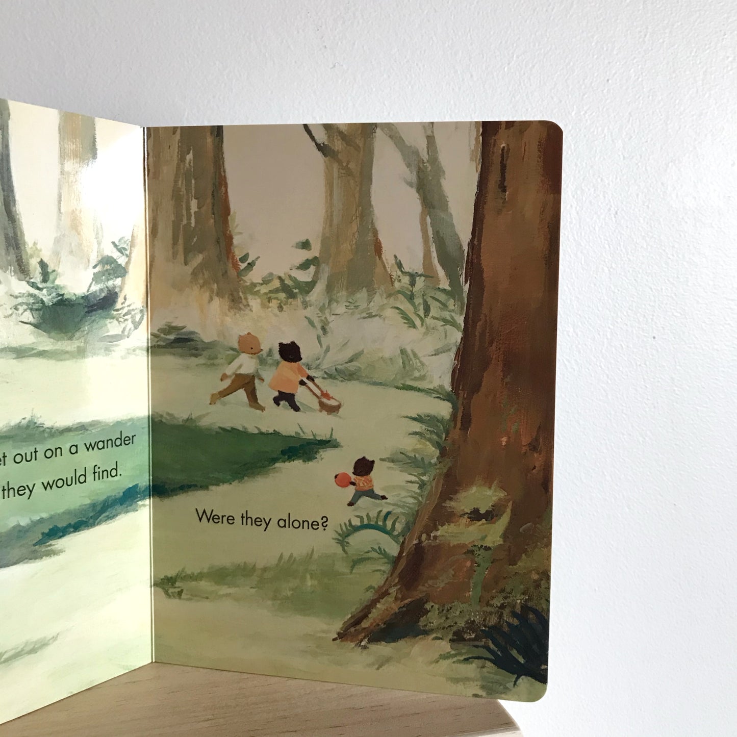 Book: The Littlest Family's Big Day