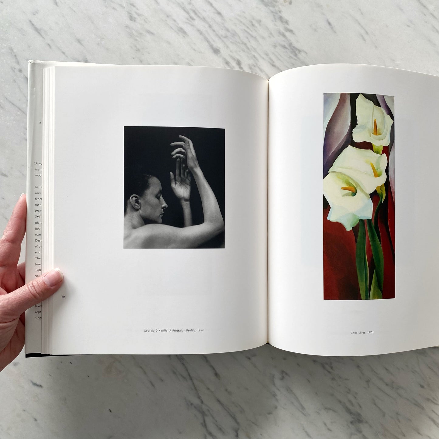Book: Two Lives: A Conversation in Paintings & Photographs(1992)