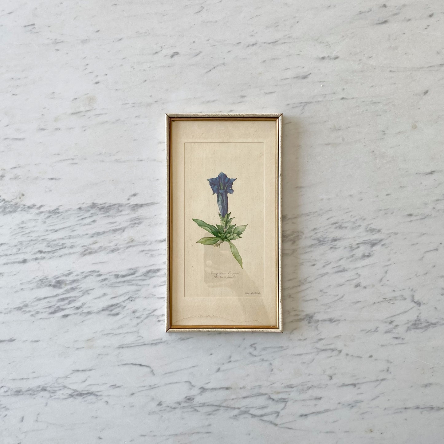 Vintage Framed Mountain Flower Print