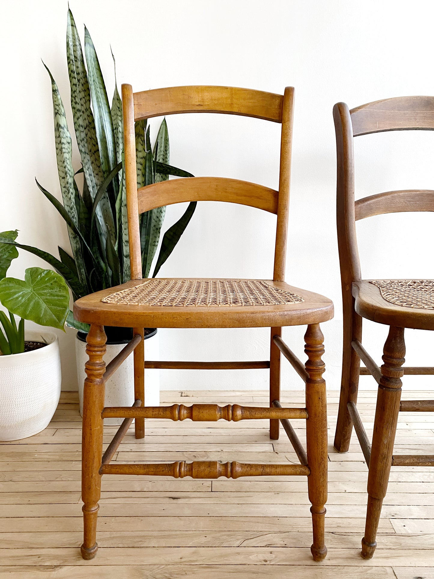 Vintage Wooden Chair with Cane Seat, Single