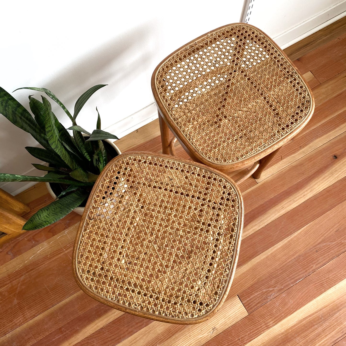 Pair of Bentwood Stools with Cane Seats